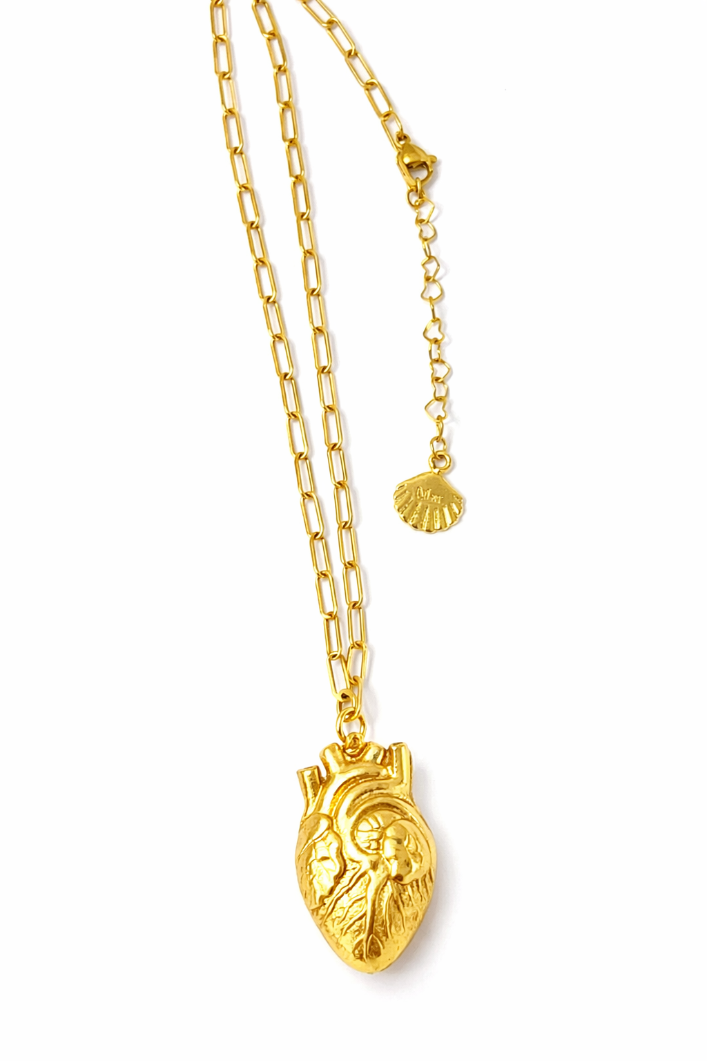 Collar Latidos — Corazón Anatómico en Oro con cadena